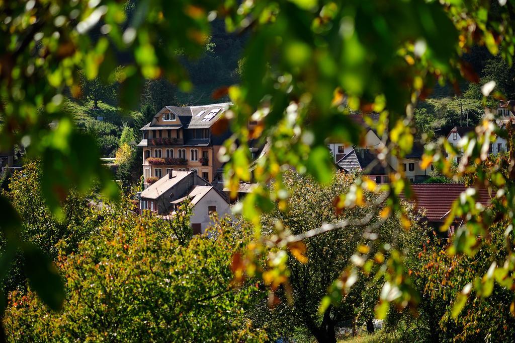 LE CLOS DES SOURCES Hôtel&Spa Thannenkirch Exterior foto